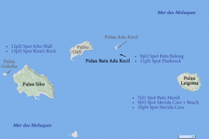 Plongées sur Pulau Laigoma, Pulau Batu Adu Kecil et Pulau Siko