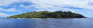 Pulau Laigoma, une île couverte de forêt
