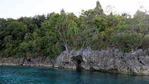 Côte de Pulau Laigoma recouverte par une forêt équatoriale