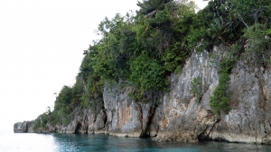 Végétation dense débordant le long du littoral de Pulau Laigoma